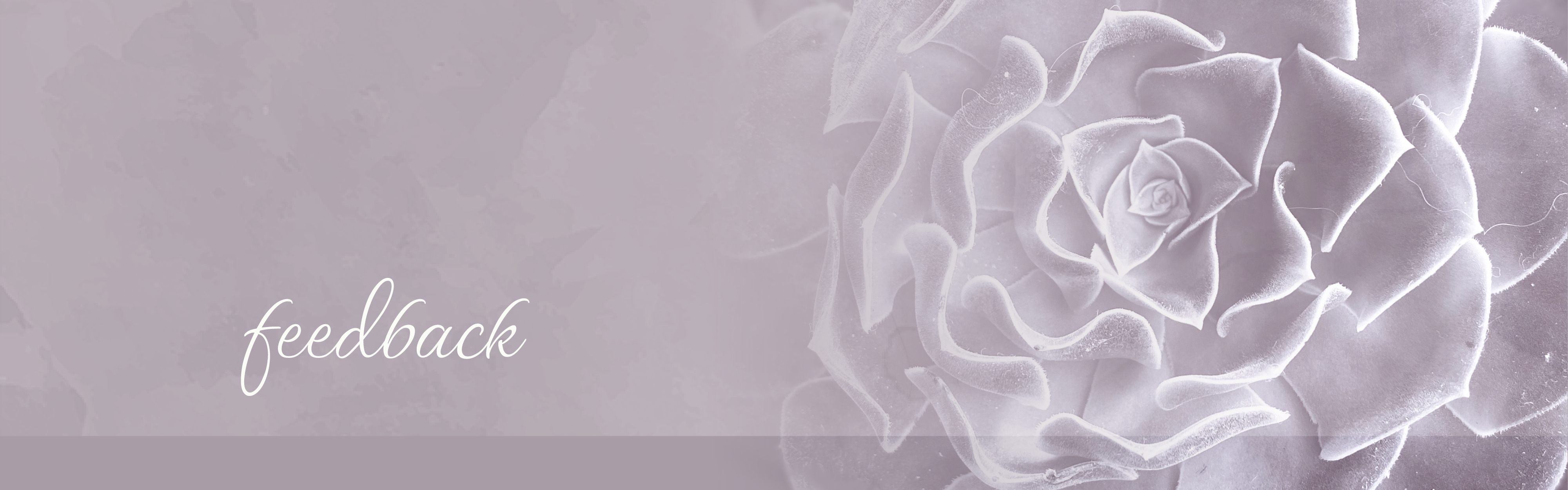 feedback