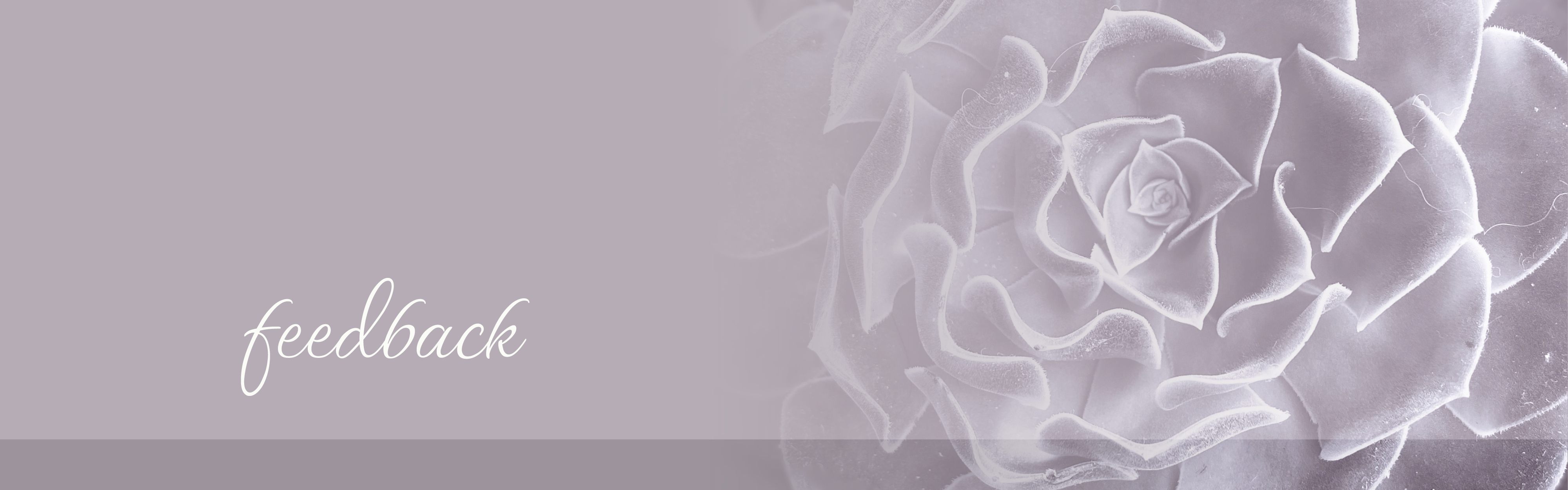 feedback